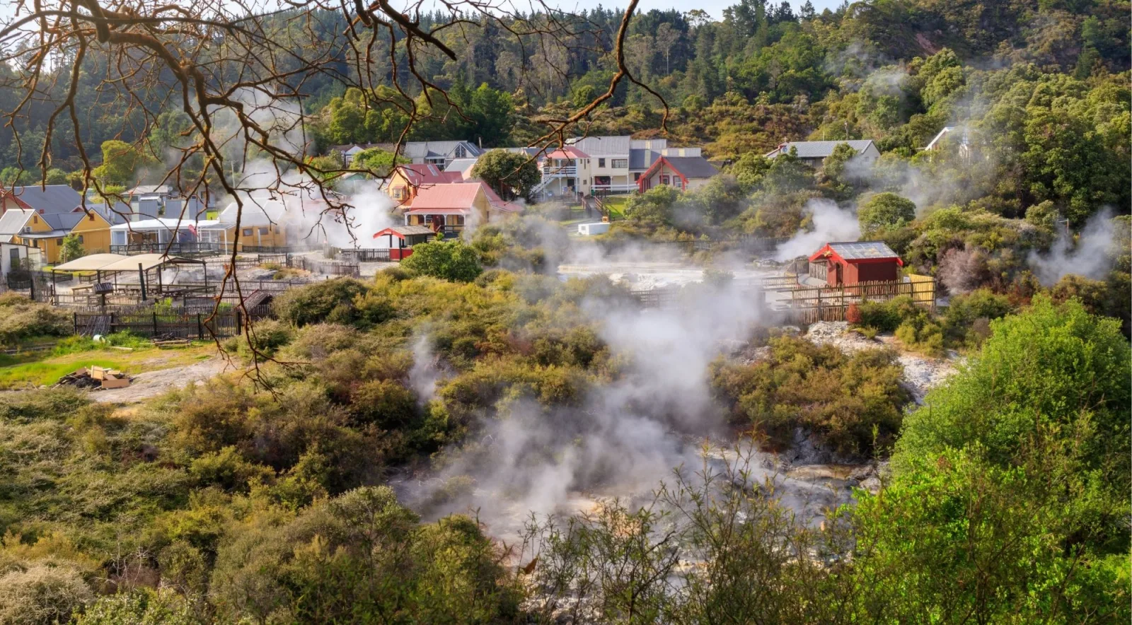 Geothermal steam drifting between the houses of Whakarewarewa living village