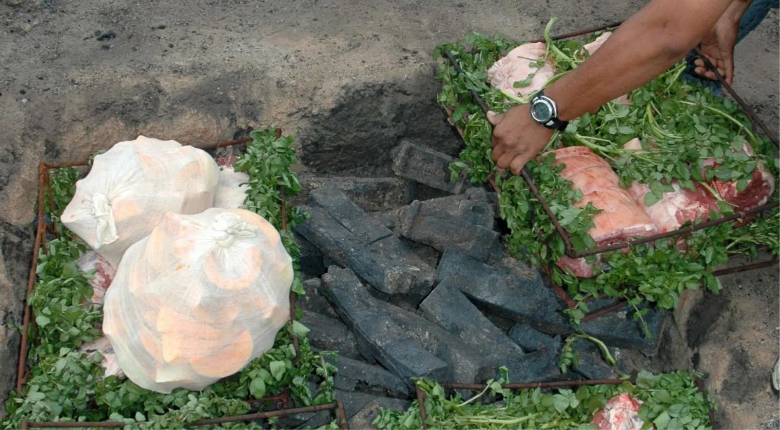 Baskets of meat laid on watercress being lowered onto hot stones in a hāngī pit