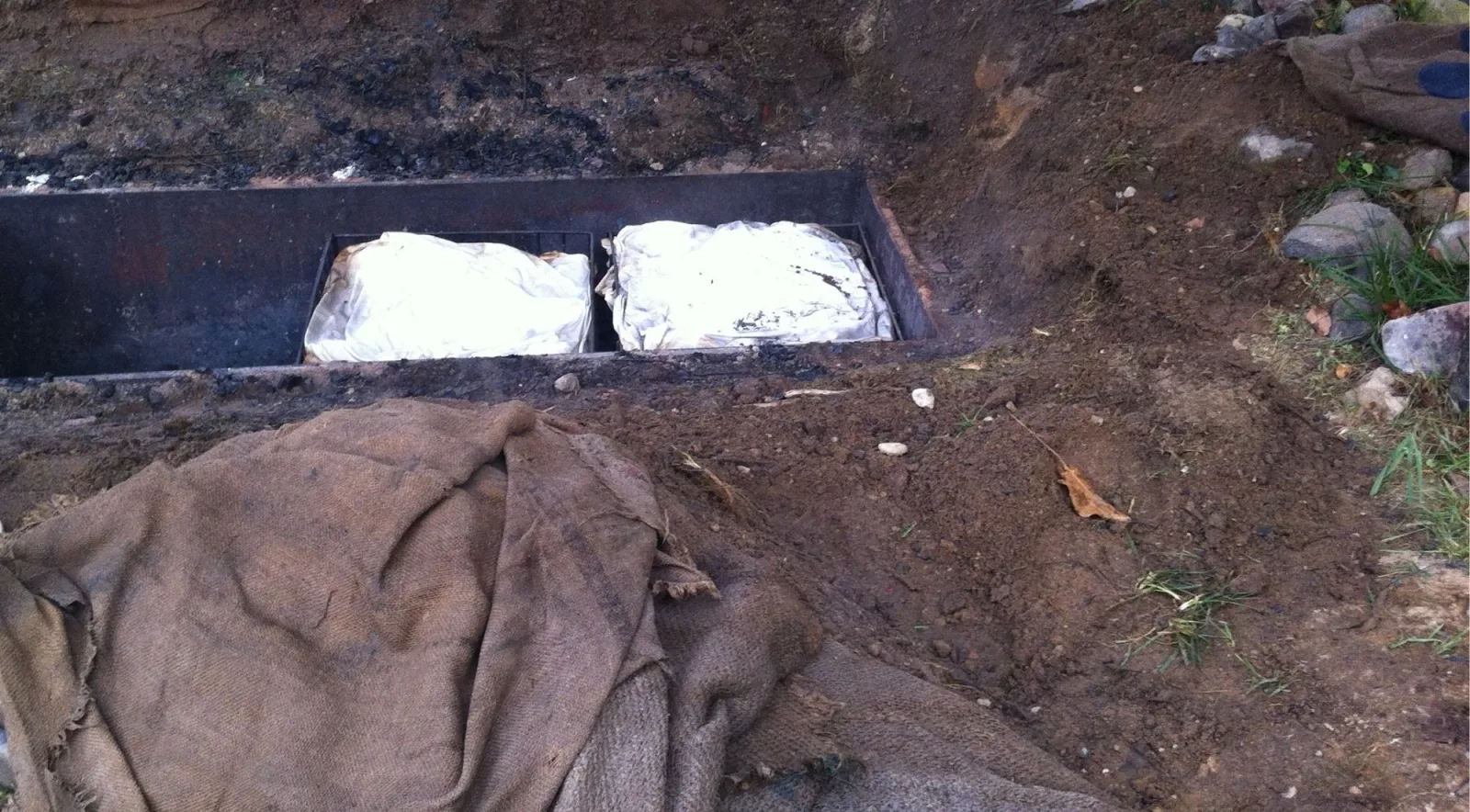 Cloth-wrapped hāngī baskets in an earth pit, wet sacking laid alongside ready to seal it