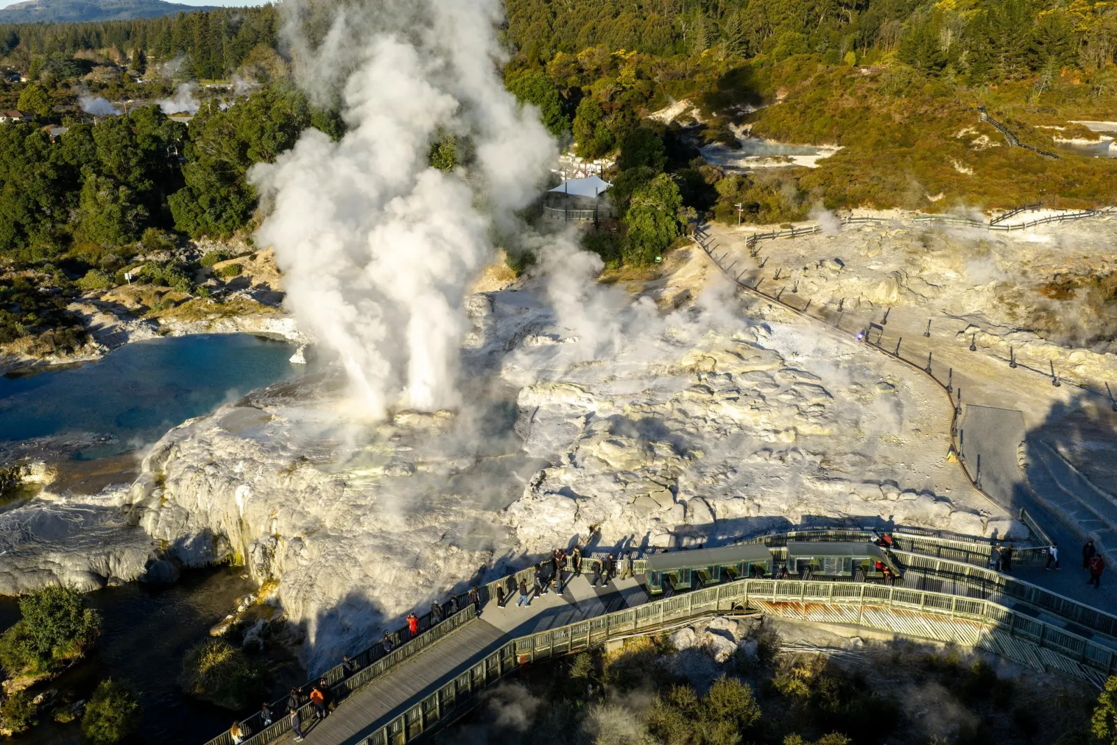 Aerial view of the Te Puia geothermal valley boardwalk with steam rising